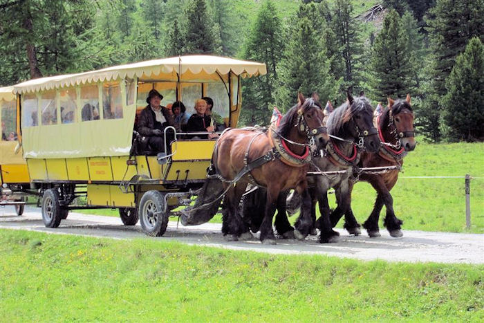 horse drawn travel